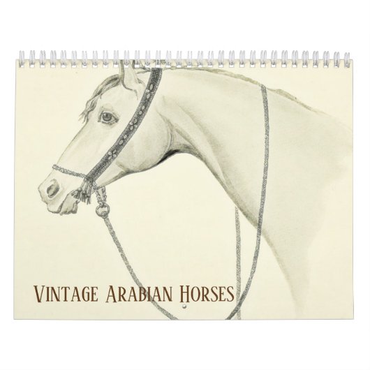 Arabisch paard Kalender (Hoes)
