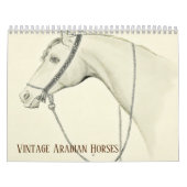 Arabisch paard Kalender (Hoes)