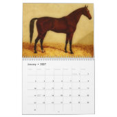 Arabisch paard Kalender (Jan 2027)