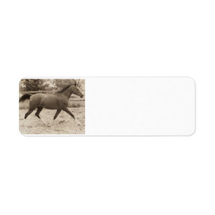 Arabisch Paard Label