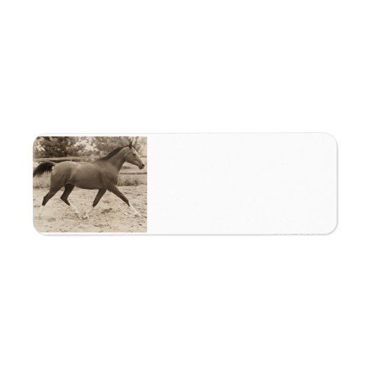 Arabisch Paard Label (Voorkant)