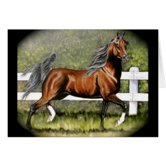 Arabisch paard loopt rond