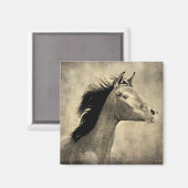 Arabisch paard magneet (Voorkant / Achterkant)