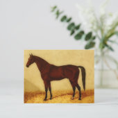 Arabisch paard met kastanjepuis briefkaart (Staand voorkant)