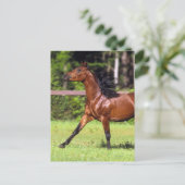 Arabisch paard met vlucht 2 briefkaart (Staand voorkant)
