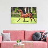 Arabisch paard met vlucht 2 canvas afdruk (Insitu (Woonkamer))