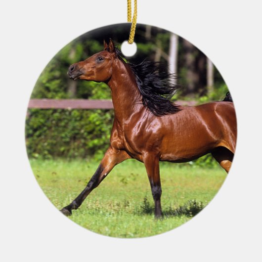 Arabisch paard met vlucht 2 keramisch ornament (Voorkant)