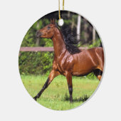 Arabisch paard met vlucht 2 keramisch ornament (Links)