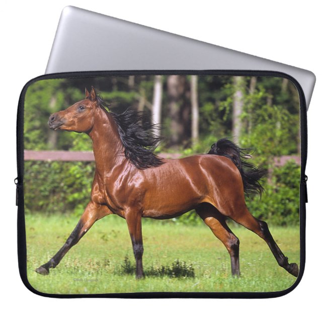 Arabisch paard met vlucht 2 laptop sleeve (Voorkant)
