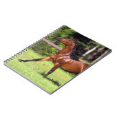Arabisch paard met vlucht 2 notitieboek (Linkerzijde)