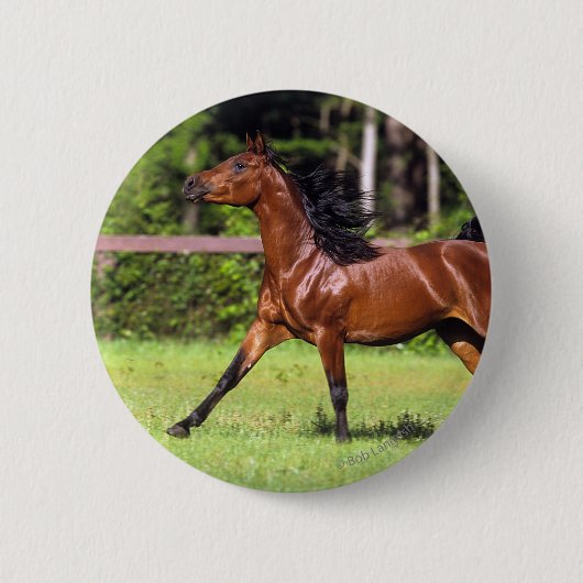 Arabisch paard met vlucht 2 ronde button 5,7 cm (Voorkant)