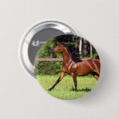 Arabisch paard met vlucht 2 ronde button 5,7 cm (Voorkant /achterkant)