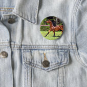 Arabisch paard met vlucht 2 ronde button 5,7 cm (In situ)