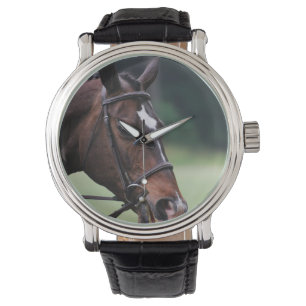 Arabisch paard met wit op gezicht horloge