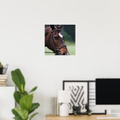 Arabisch paard met wit op het gezicht Poster (Thuiskantoor)