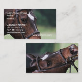 Arabisch paard met wit op het gezicht Visitekaartj Visitekaartje (Voorkant / Achterkant)