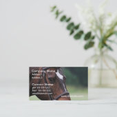 Arabisch paard met wit op het gezicht Visitekaartj Visitekaartje (Staand voorkant)