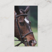 Arabisch paard met wit op het gezicht Visitekaartj Visitekaartje (Achterkant)