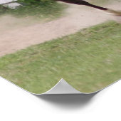 Arabisch paard poster (Hoek)