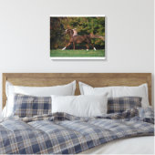 Arabisch paard rijdend in grijsveld canvas afdruk (Insitu (Slaapkamer))