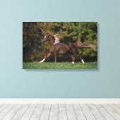 Arabisch paard rijdend in grijsveld canvas afdruk (Insitu (Houten vloer))