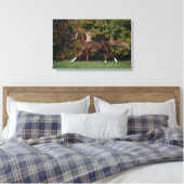 Arabisch paard rijdend in grijsveld canvas afdruk (Insitu (Slaapkamer))