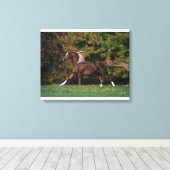 Arabisch paard rijdend in grijsveld canvas afdruk (Insitu (Houten vloer))