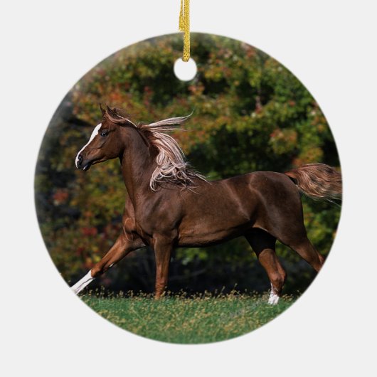 Arabisch paard rijdend in grijsveld keramisch ornament (Achterkant)