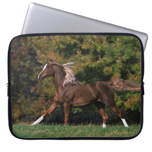 Arabisch paard rijdend in grijsveld laptop sleeve