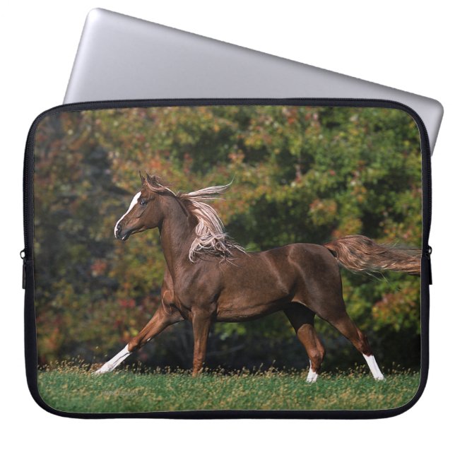Arabisch paard rijdend in grijsveld laptop sleeve (Voorkant)