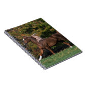 Arabisch paard rijdend in grijsveld notitieboek (Rechterzijde)