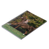 Arabisch paard rijdend in grijsveld notitieboek (Linkerzijde)