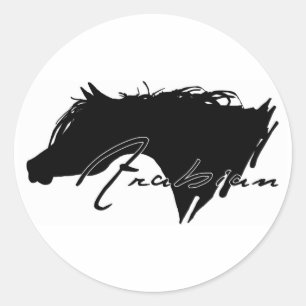 Arabisch paard ronde sticker
