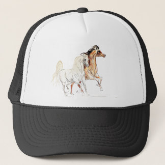 Arabisch paard TR Trucker Pet