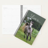 Arabisch paard wekelijks en maandelijks planner (Display)