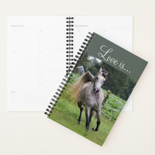 Arabisch paard wekelijks en maandelijks planner (Display)