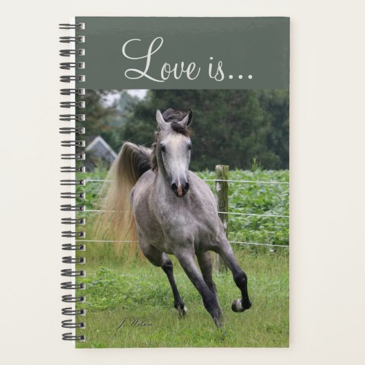 Arabisch paard wekelijks en maandelijks planner (Voorkant)