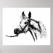 Arabisch portret in Pen & Ink Poster (Voorkant)