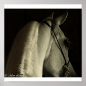 Arabisch Poster (Voorkant)