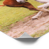 Arabisch Poster voor foal en merg (Hoek)