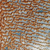 Arabisch schiereiland - De Rub'Al Khali Poster