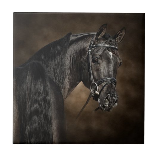 Arabisch Tegeltje (Voorkant)