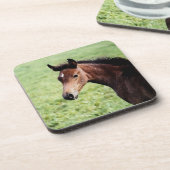 Arabisch veulen waterverf onderzetter (Linkerzijde)