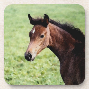 Arabisch veulen waterverf onderzetter