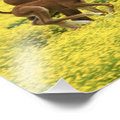 Arabisch veulens en merrie lopen door foto afdruk (Hoek)