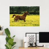 Arabisch veulens en merrie lopen door poster (Thuiskantoor)