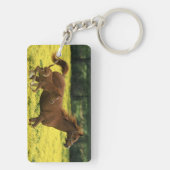 Arabisch veulens en merrie lopen door sleutelhanger (achterkant)