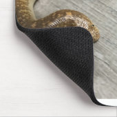 Arabisch zandboa muismat (Hoek)