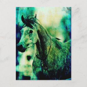 Arabische Blues Briefkaart