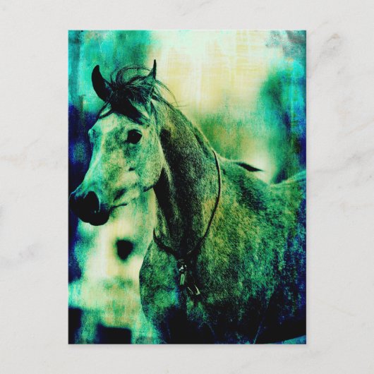 Arabische Blues Briefkaart (Voorkant)